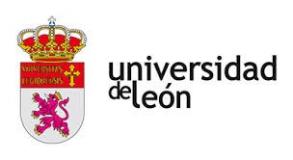 Leono universitetas (Ispanija)